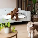 nuzzle blanket lifestyle.webp