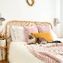 fairy lifestyle.webp