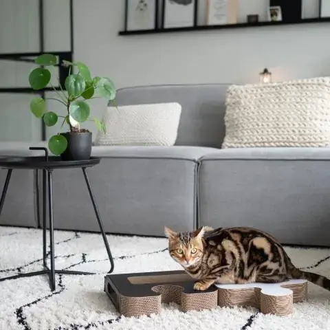 puzzle lifestyle 2.webp