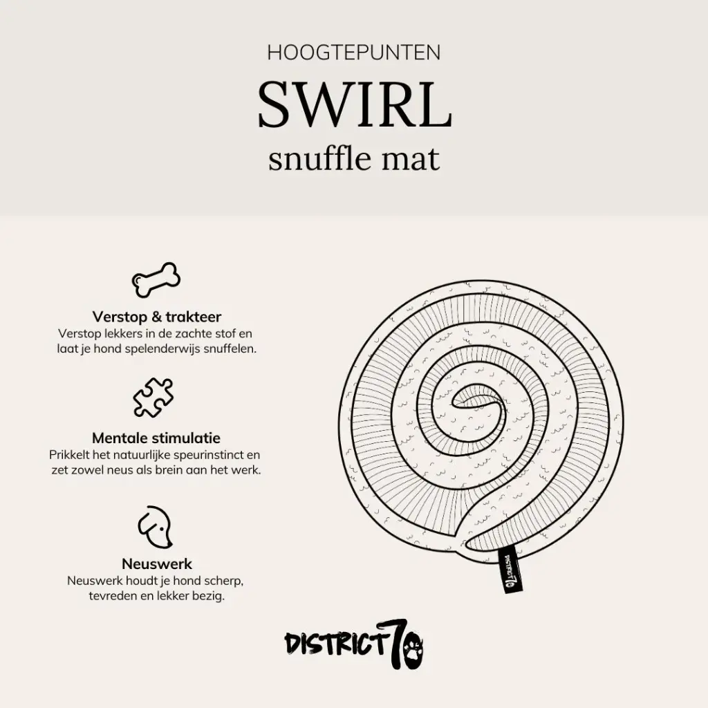swirl 2.webp