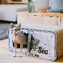 sardine lifestyle 2.webp