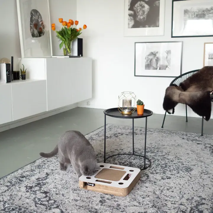 spy lifestyle 2.webp