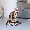 sunny lifestyle 3.webp