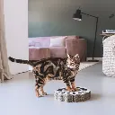 sunny lifestyle.webp