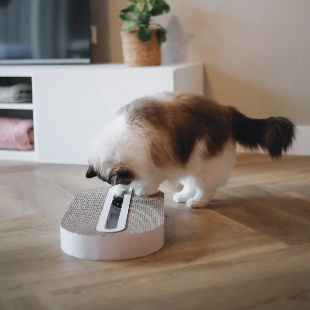 track lifestyle 3.webp