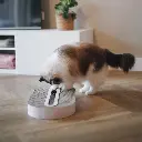 track lifestyle 3.webp