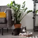 whirl lifestyle 4.webp