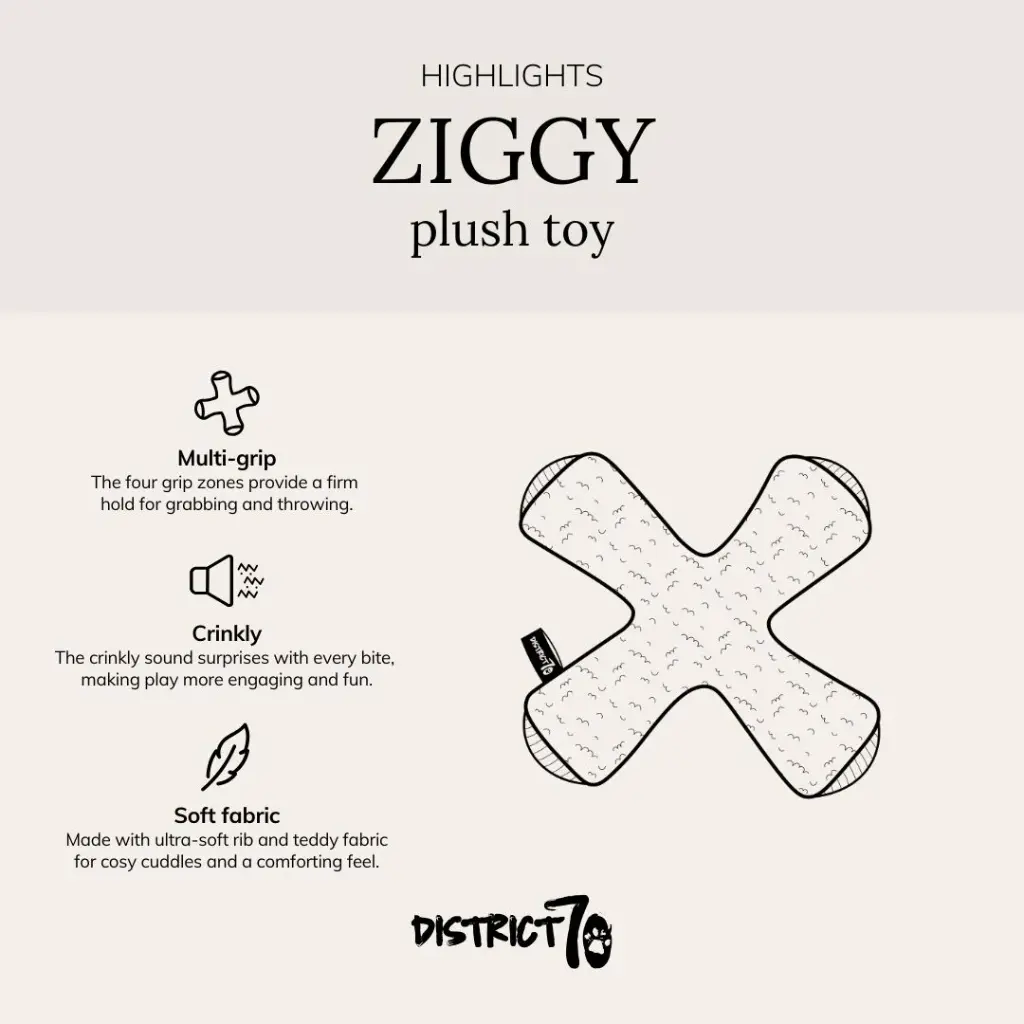 ziggy.webp