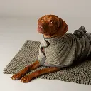 Noodle_DryingRobe_CLS1.webp
