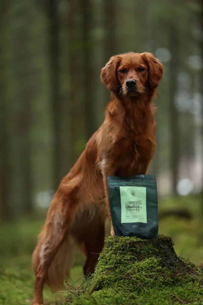 Sensations G @hilde.oest.webp