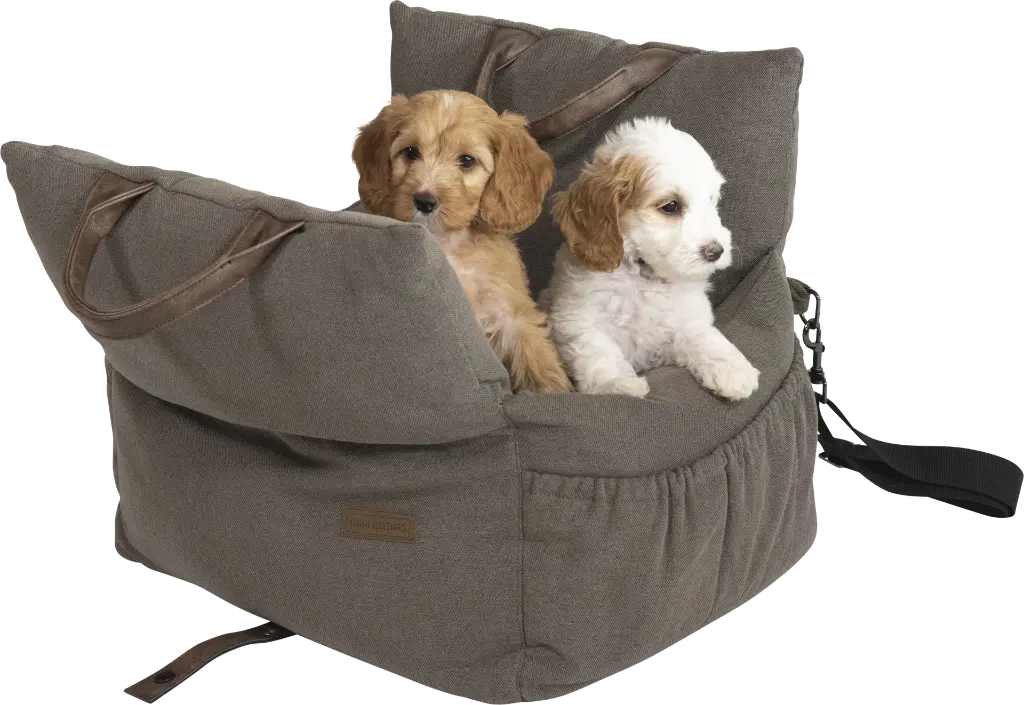 AB10709 AB HOME AND AWAY Car Seat Carrie Brown XS-Dog-2.webp