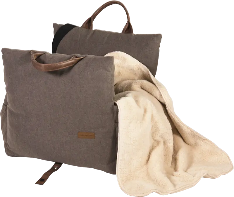 AB HOME&AWAY Autostoel Bruin-XS 50x42x42cm.webp