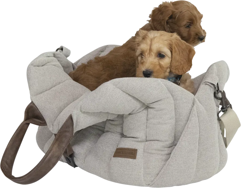 AB10712 AB HOME AND AWAY Citybag Diana Beige XS-Dog-2.webp