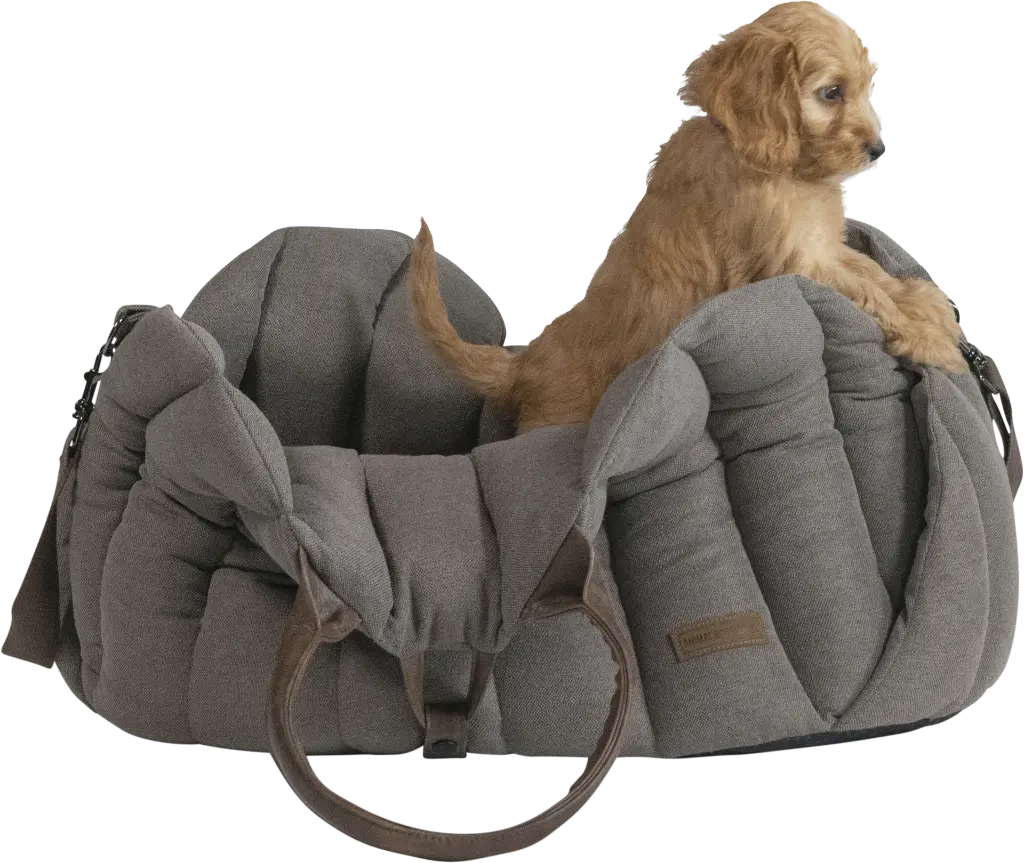 AB10715 AB HOME AND AWAY Citybag Diana Brown S-Dog-4.webp