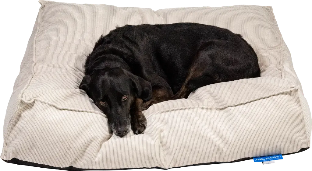 AB10117 AB SQUARE Dogbed BeachSand L-Dog-2.webp