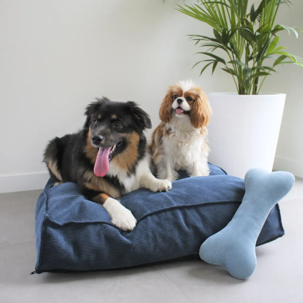 AB10121 AB SQUARE Dogbed Ocean Blue L_2000px.webp