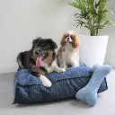 AB10121 AB SQUARE Dogbed Ocean Blue L_2000px.webp