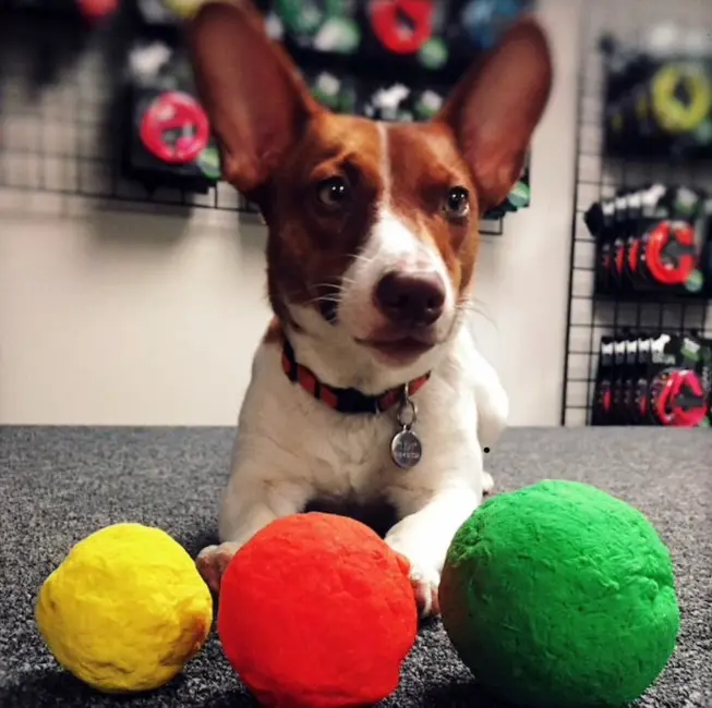 Schermafbeelding 2026-02-20 173736.webp