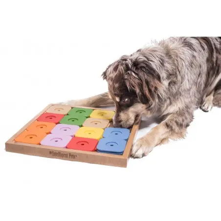 dog-sudoku-medium-genie-color (2).webp