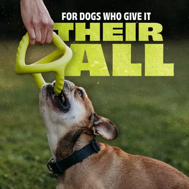 e70c9d172711806a8ae0775f8ddb.webp