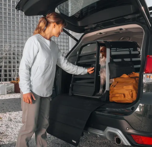 thule bench foto 2.webp