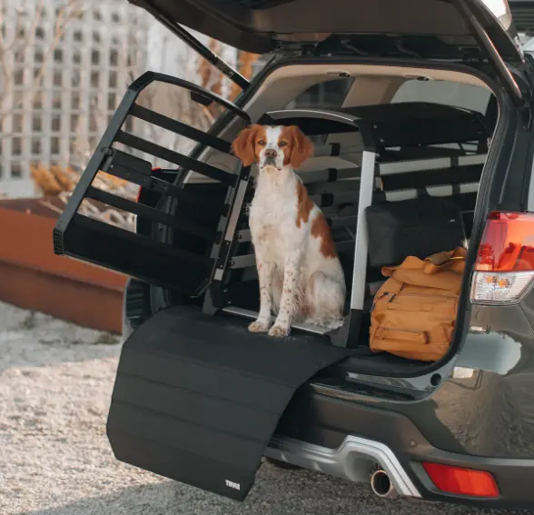 thule bench foto.webp