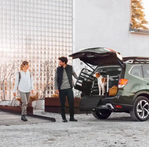 thule bumper foto.webp