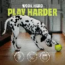 0236d6c79f5b608d9abf2f6e071f.webp