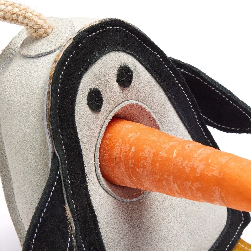 Percy-Close-Up-with-Carrot.webp