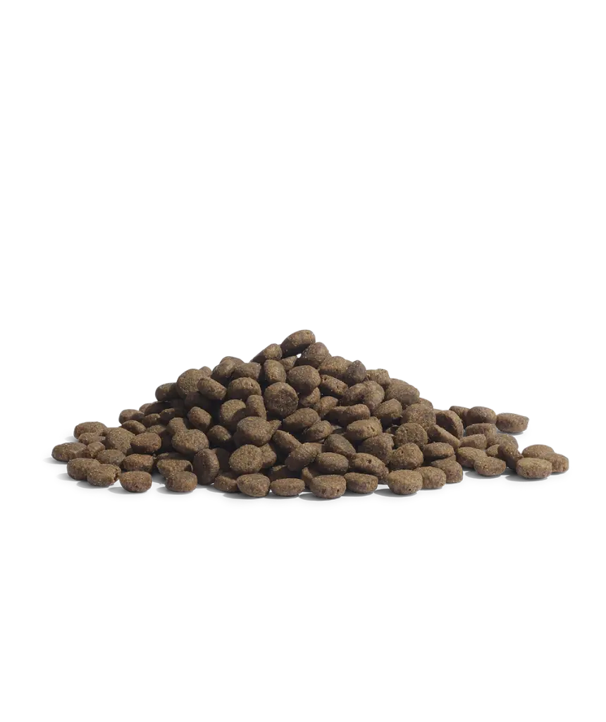 2032 & 2035-4_the PANTHER_Packshot_Kibbles_No background.webp