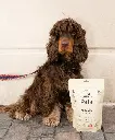 pablo-14.webp