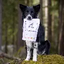 pala_pets_product_lifestyle_images68.webp