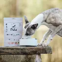 pala_pets_product_lifestyle_images83.webp