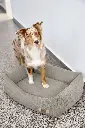 DOG_F24_21010081011_L_2.webp