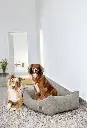 DOG_F24_21010081011_L_4.webp