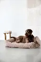 DOG_F24_21010087150_L_3.webp