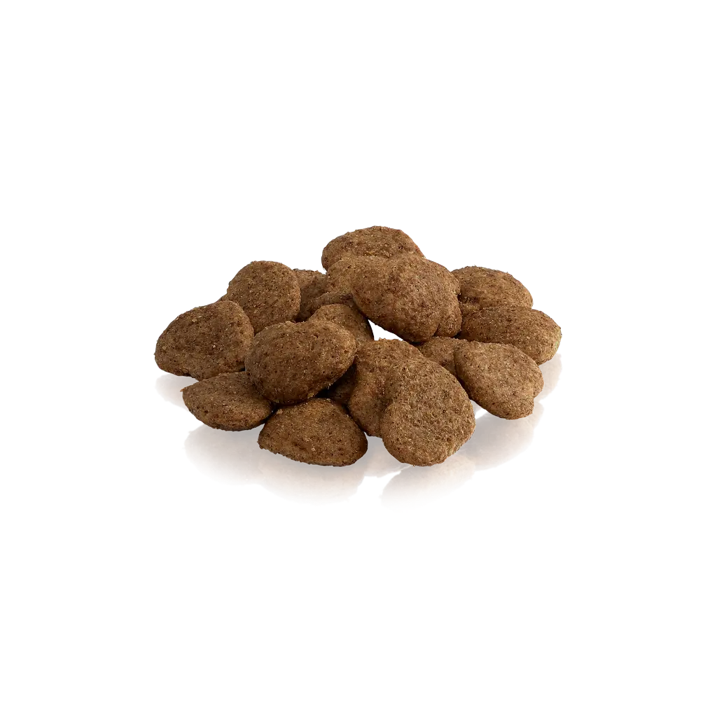 The-Silent-Shadow-Cat-treat (1).webp