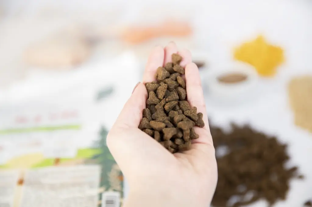 1200x800 brok kat kip zakl.webp