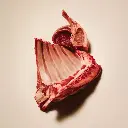 can lamb 1.webp