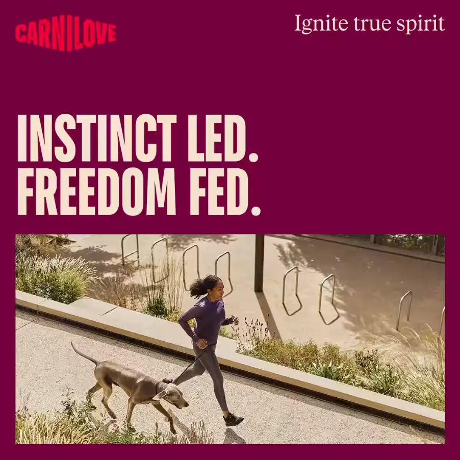 instinct fed.webp
