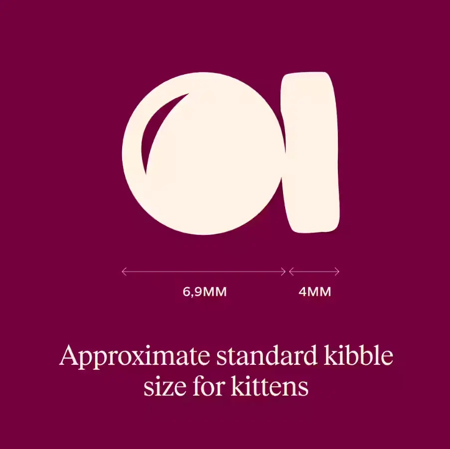carnilove kitten turkey & salmon.webp