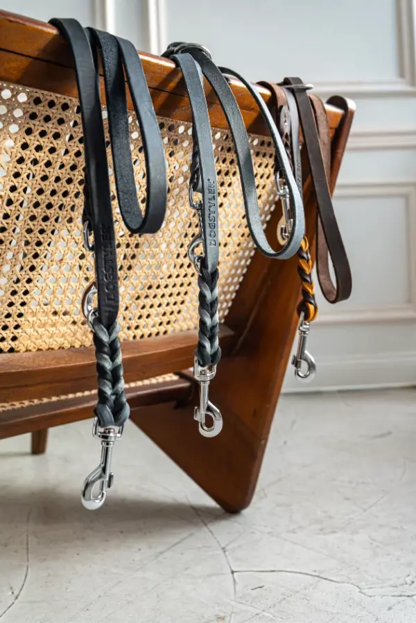leather leash luis 2.webp