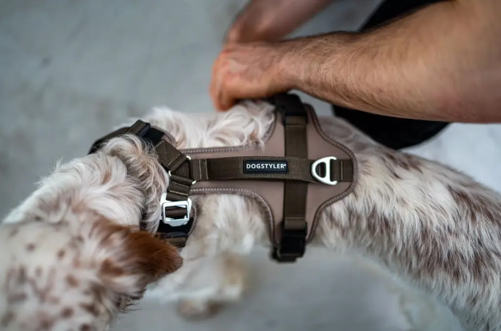 neofit harness 4.webp