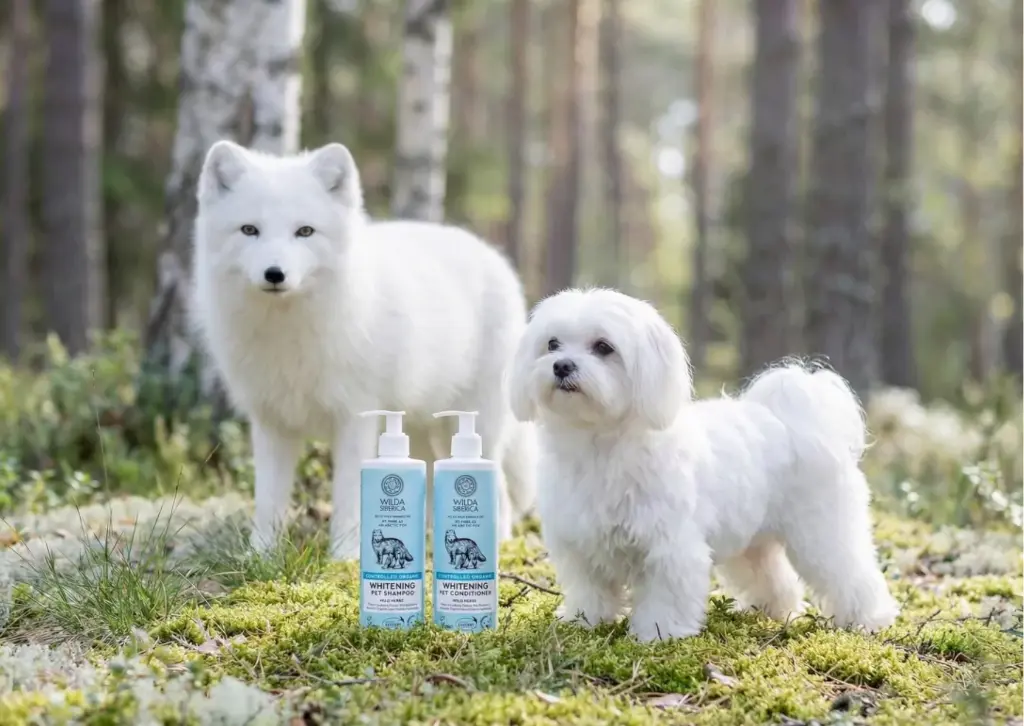 whitening.webp