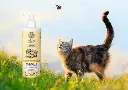 delicate kat.webp
