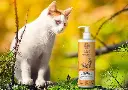 glow kat.webp
