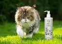 shed control kat.webp