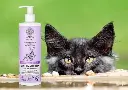urban detox kat.webp