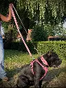 3185380741.webp