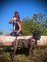 3812467100.webp